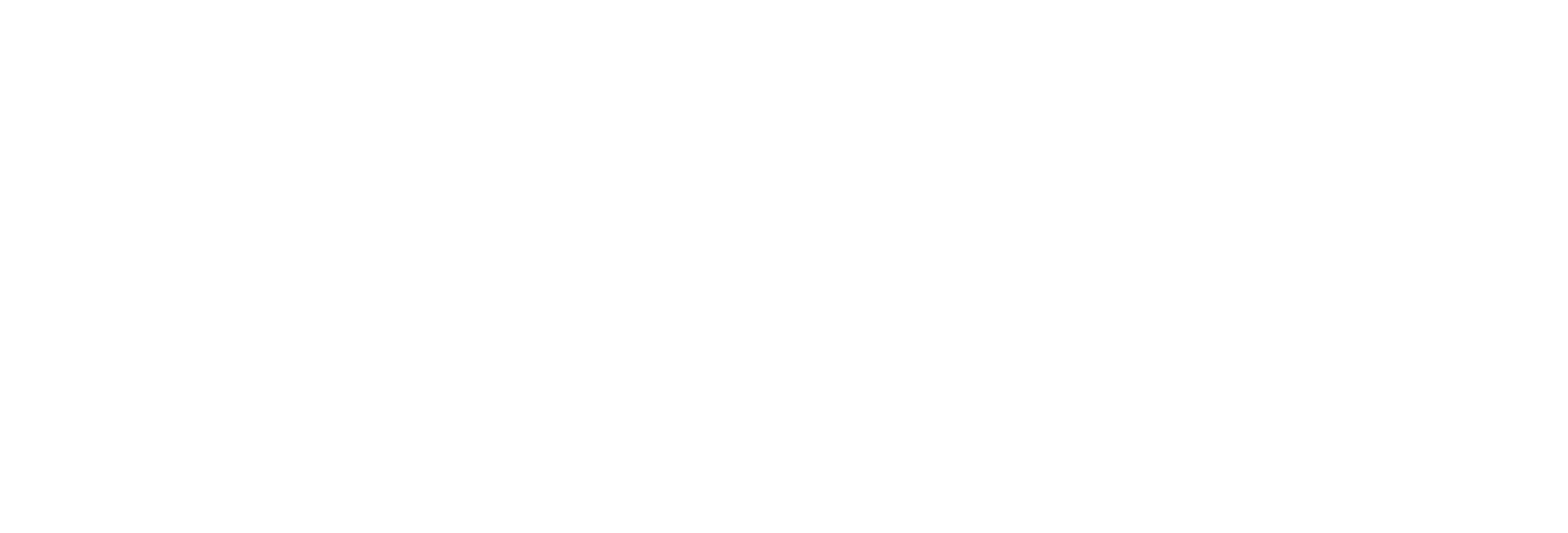 Nibav Home Lifts Logo Official